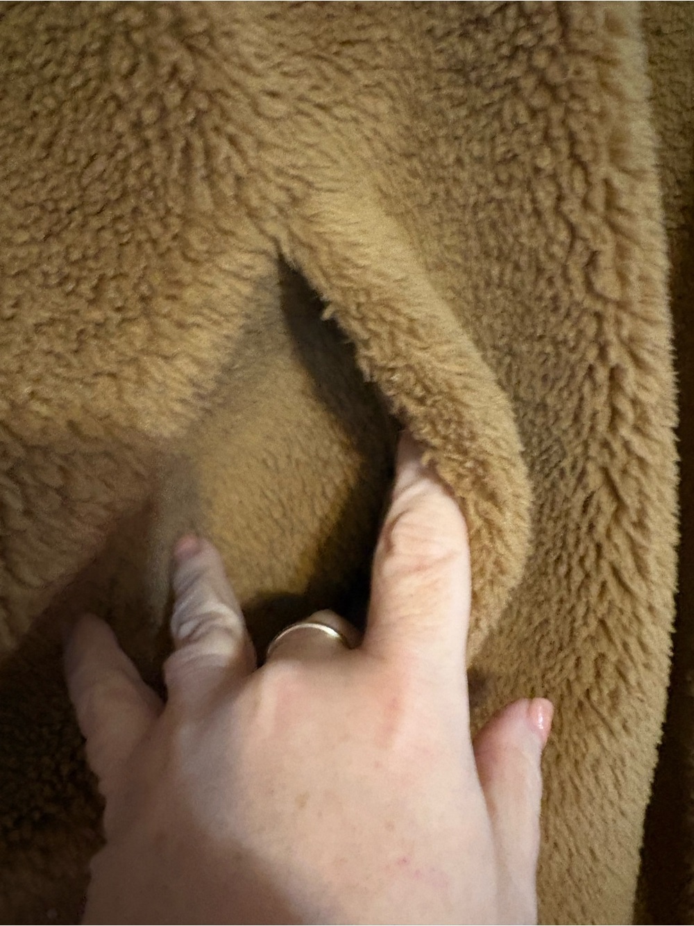 GAP Women's Teddy Coat in Camel Brown - Picture 7 of 8